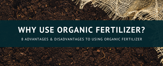 8-advantages-and-disadvantages-of-using-organic-fertilizer